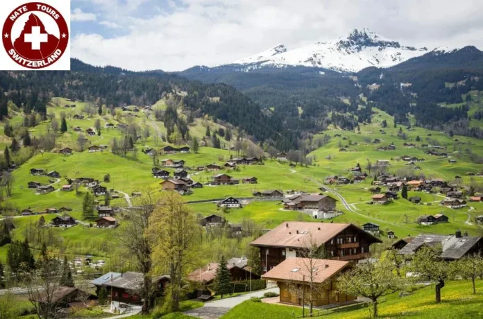 natetours-1776398014920-8fddcad3