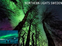 Kiruna Aurora Guide: Forecast Tips for Confident Booking